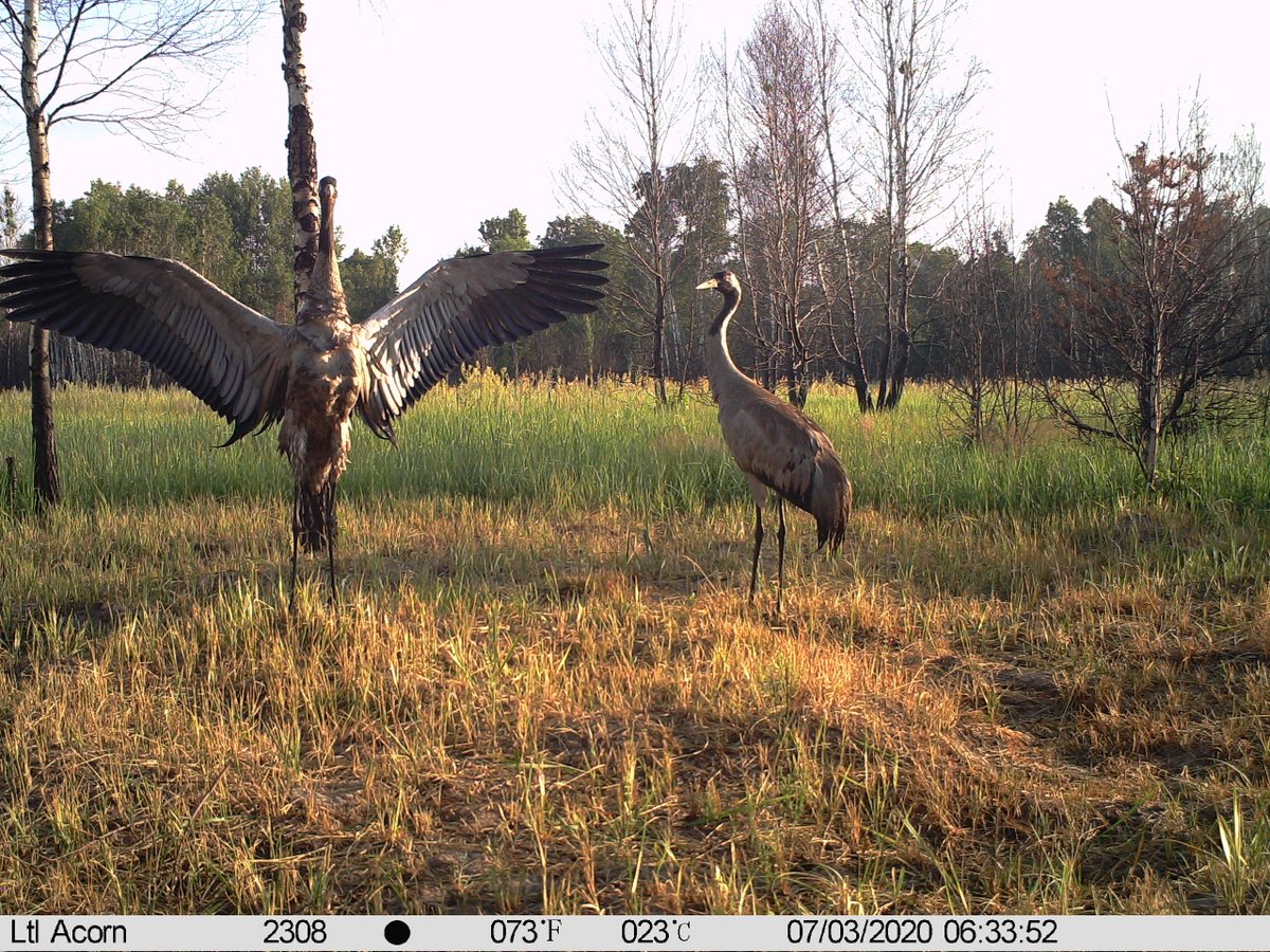 Prof Nick Beresford tweet media