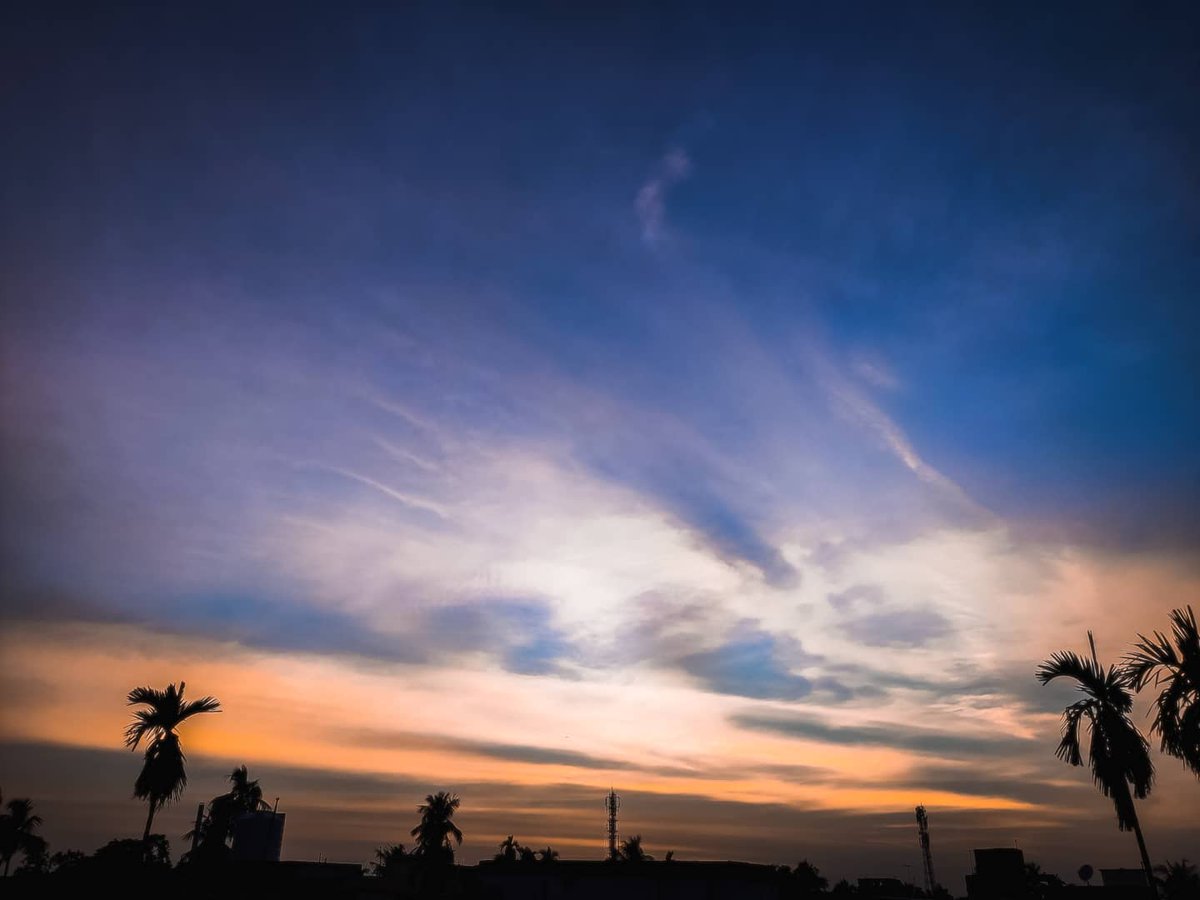 RoyNivedita24's tweet photo. With the sun's last rays peeking out from the horizon, comes the realization that tomorrow holds endless possibilities ✨
#beautifuldusk #rayoflight #sunsetphotography https://t.co/mFjHdq8wZe