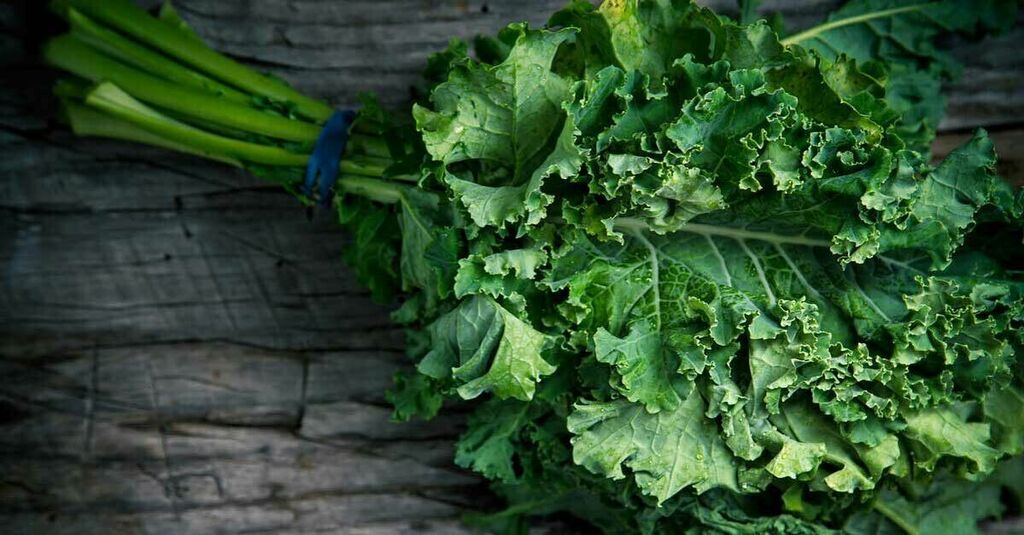 SafirNutrition's tweet photo. In season now - Kale

Find out more about the food you cook and eat. Book a nutritional consultation on https://t.co/0AUpRpKM2B

#SafirNutrition #Nutrition #Nutritionist #Nutrients #LondonNutrition #LondonNutritionist #Food #Minerals #Vitamins #Health … https://t.co/MG1CVtRDNZ https://t.co/ZoOxK1oQd1