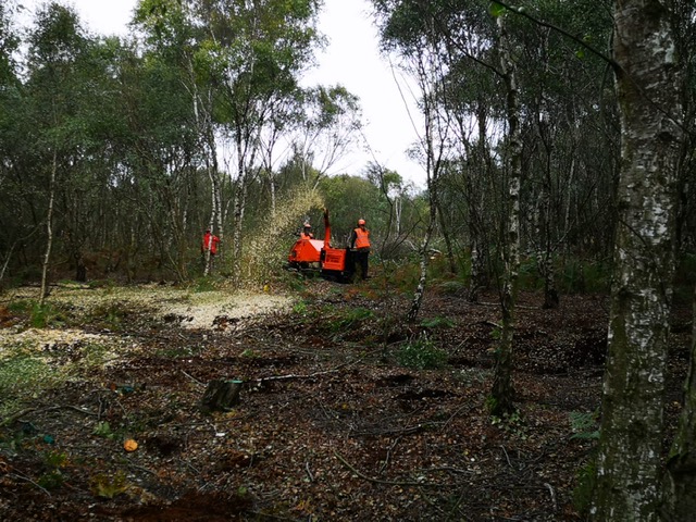 garethElm's tweet photo. Other habitats we work in are woodlands, moorlands, fenlands and grasslands. Offering habitat creation such as Nightjar and Willow tit, restoration of butterfly habitats and restoration of fenland habitats. https://t.co/vpDV2WadbK