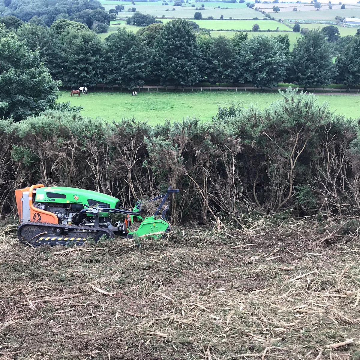 garethElm's tweet photo. Other habitats we work in are woodlands, moorlands, fenlands and grasslands. Offering habitat creation such as Nightjar and Willow tit, restoration of butterfly habitats and restoration of fenland habitats. https://t.co/vpDV2WadbK