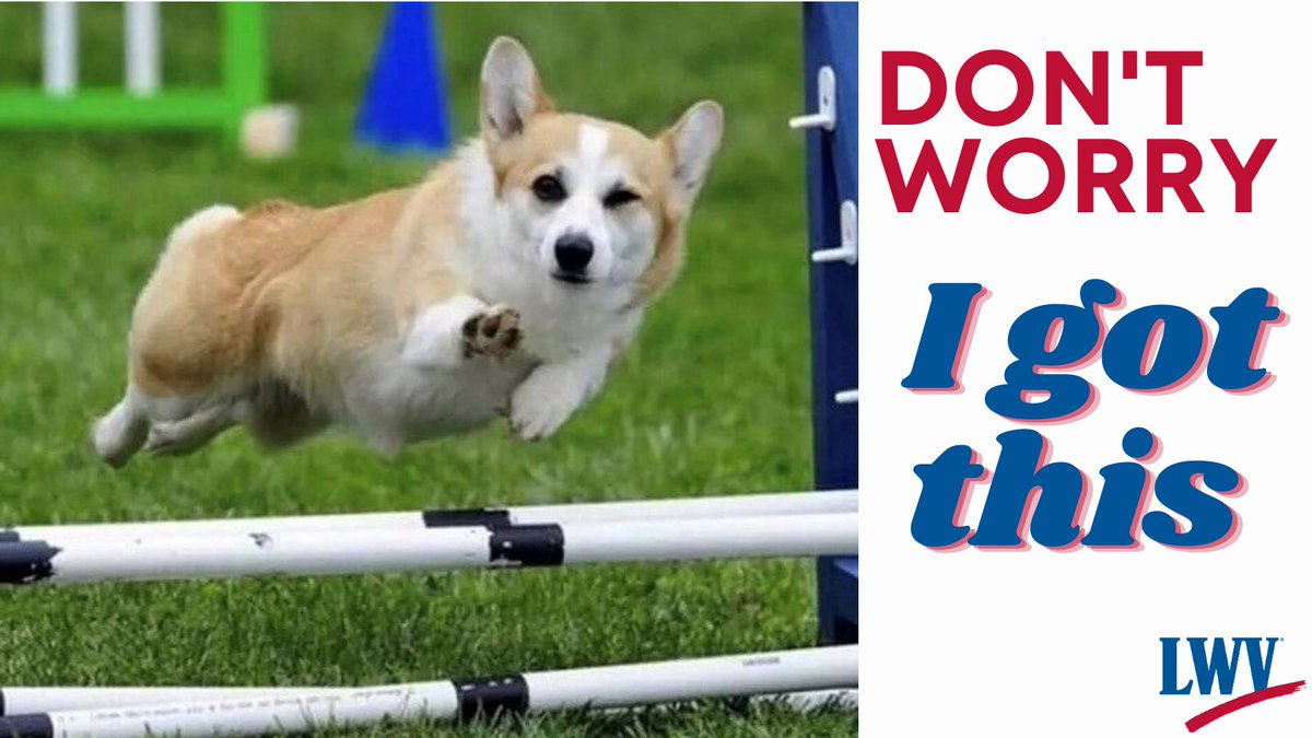lwvcollier's tweet photo. Are you feeling uneasy about COVID? There are SAFE VOTING OPTIONS. Take your ballot to a #securedropbox outdoors. You don’t even need to go inside. #VoteNowFL !! #3Days2Vote @LWVCollier  #VoteEarlyFL @healthyseniorFL @CIW 
@sfalliance
@legalaidcollier https://t.co/3IOSizu3Z5