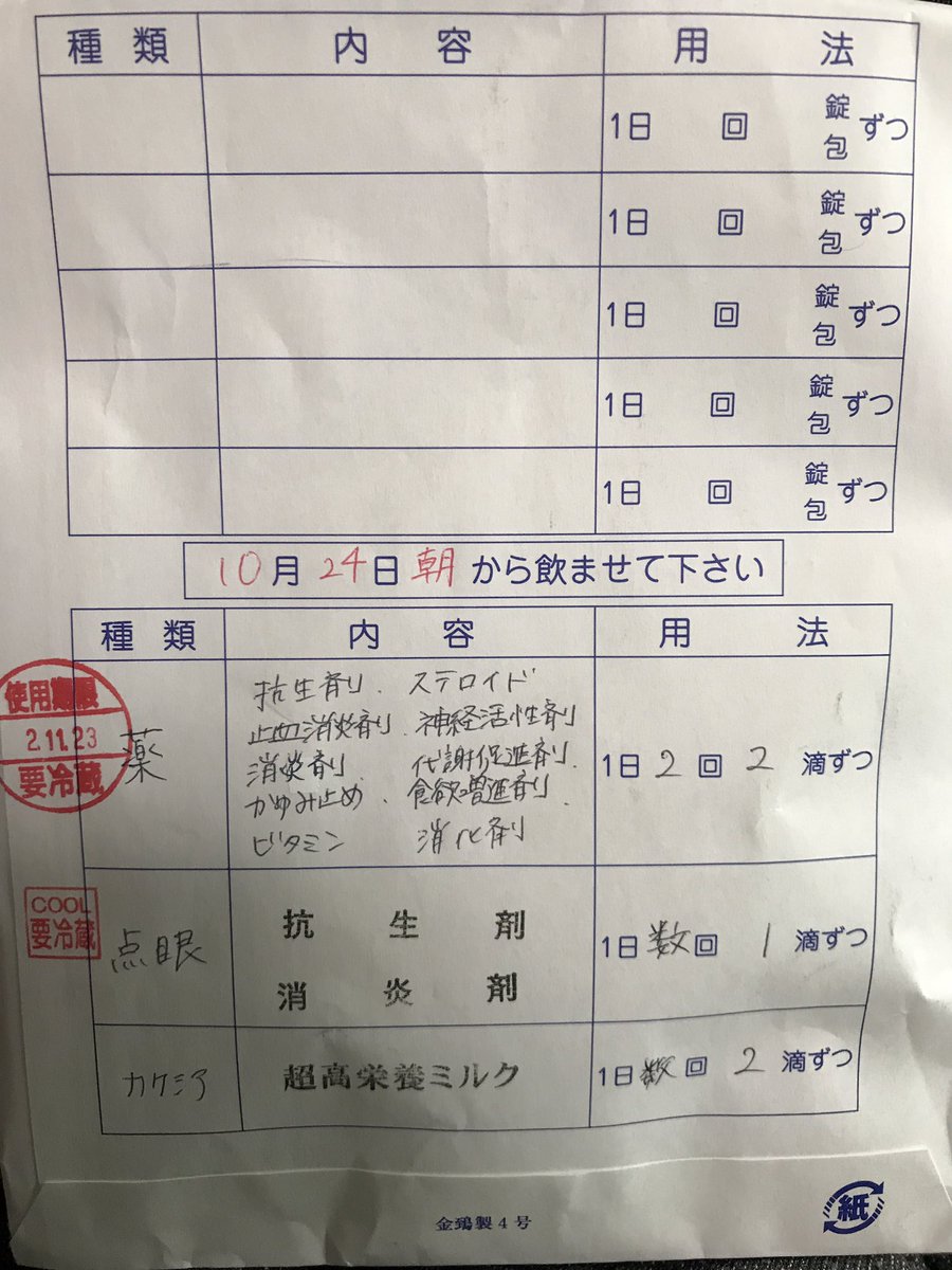 きなこᵃⁿᵈくぅᵃⁿᵈチッチたまにクック ステロイドは抗生物質とは違いますよ 免疫抑制剤です きなこᵃⁿᵈくぅᵃⁿᵈチッチたまにクック ステロイドは抗生物質とは違いますよ 免疫抑制剤です