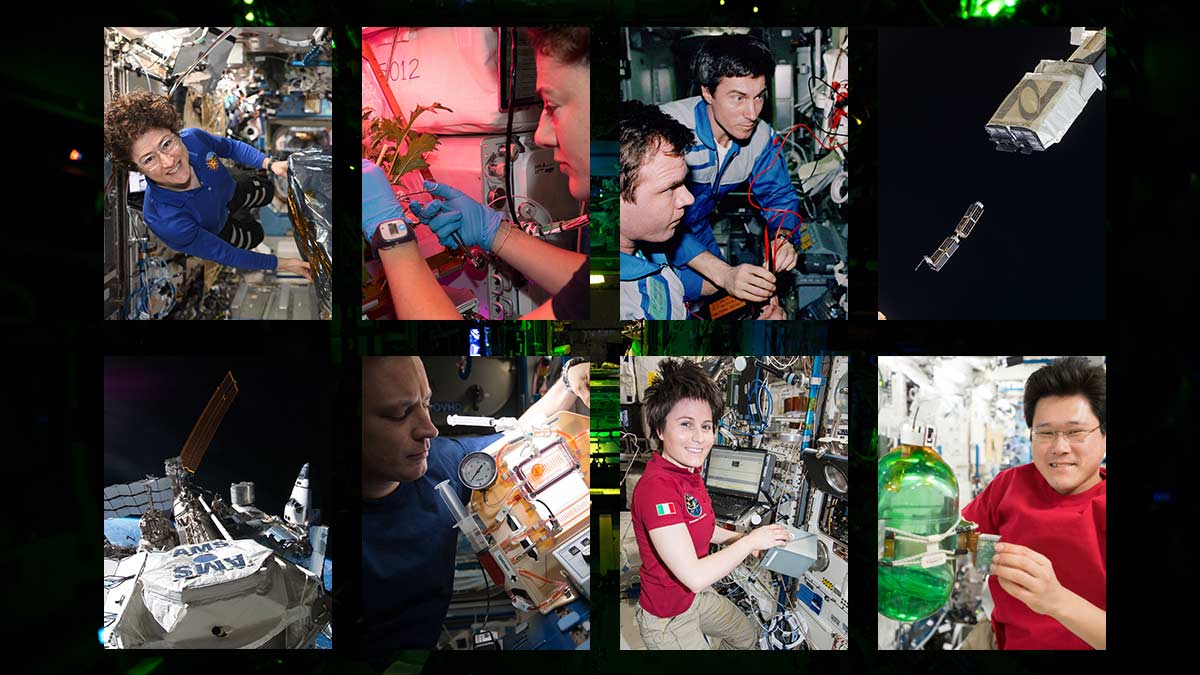 ISS Research (@ISS_Research) on Twitter photo 2020-10-31 16:35:00 Today marks 20 years since Expedition 1 lifted off to the @Space_Station, starting two decades of living and working in space. Soon, Crew-1 will continue that legacy of microgravity science. Check out scientific breakthroughs we have made over that time: go.nasa.gov/2HQAJYx Today marks 20 years since Expedition 1 lifted off to the @Space_Station, starting two decades of living and working in space. Soon, Crew-1 will continue that legacy of microgravity science. Check out scientific breakthroughs we have made over that time: go.nasa.gov/2HQAJYx