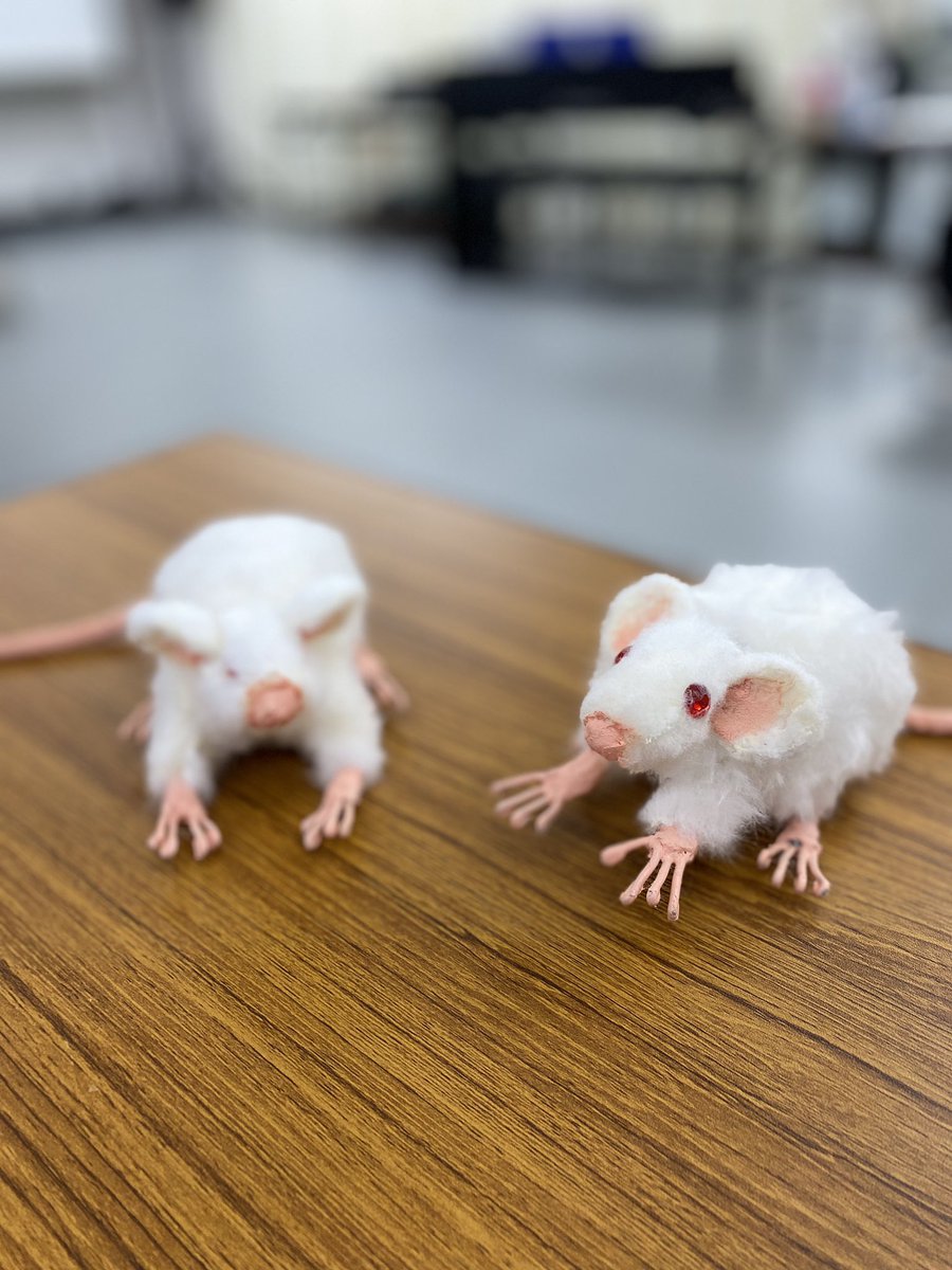 元榮 菜摘 Motoe Natsumi 本日も アルジャーノンに花束を ありがとうございました 残りは4公演 アップ中に急に寂しさが込み上げました 明日は 13 00 18 00 の2公演です そして写真はネズミカップル スパダリなアルジャーノン 2枚目は座長