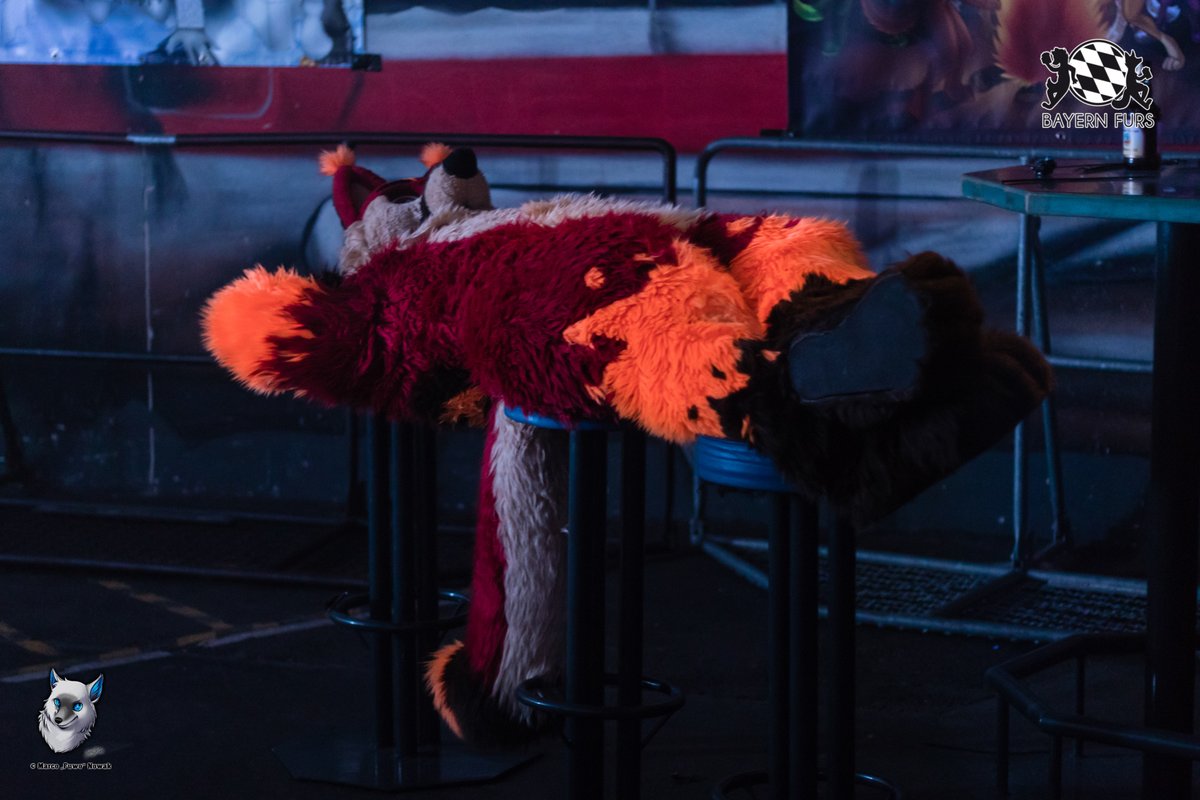 BayernFurs's tweet photo. Ganz schön spooky diese fliegenden Füchse!
#FursuitFriday #BFD6
🦊 @FervoryFire
📸 @FuwoWolf https://t.co/ZLs56IeE2b