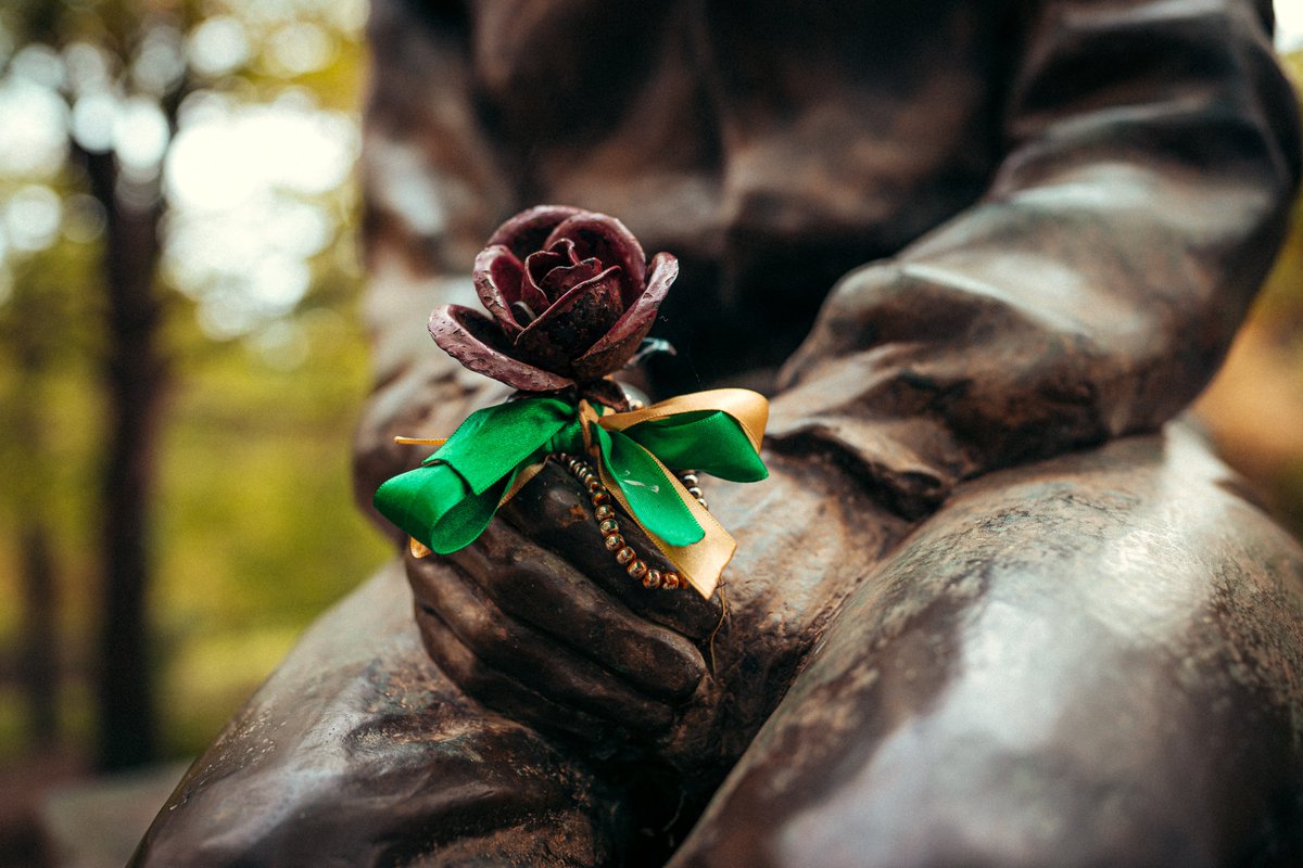 MercedesAMGF1's tweet image. #SennaSempre 💚💛💙