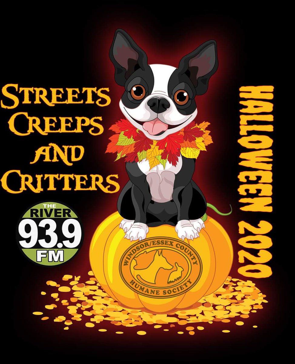 Gee Teal tweet media