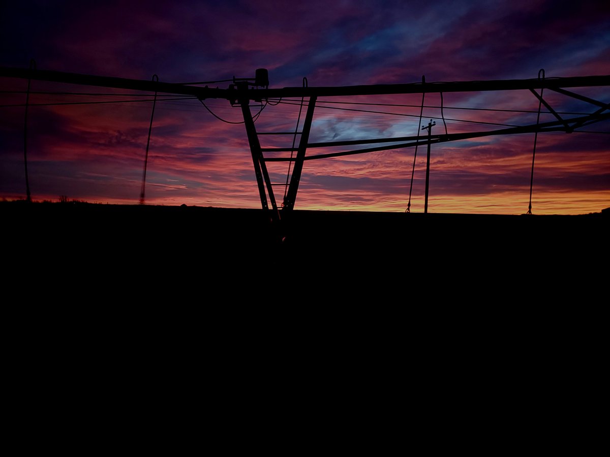 KaraOosterhuis's tweet photo. Usually, I'm a sunset over sunrise kind of girl. But with a view like this this morning... I'm not so sure anymore.
Have a terrific Friday, everyone. 🤗
#CdnAg #WestCdnAg #CdnPrairies #sunrises #fridaymotivation #positivity https://t.co/ApBeNJTB9q