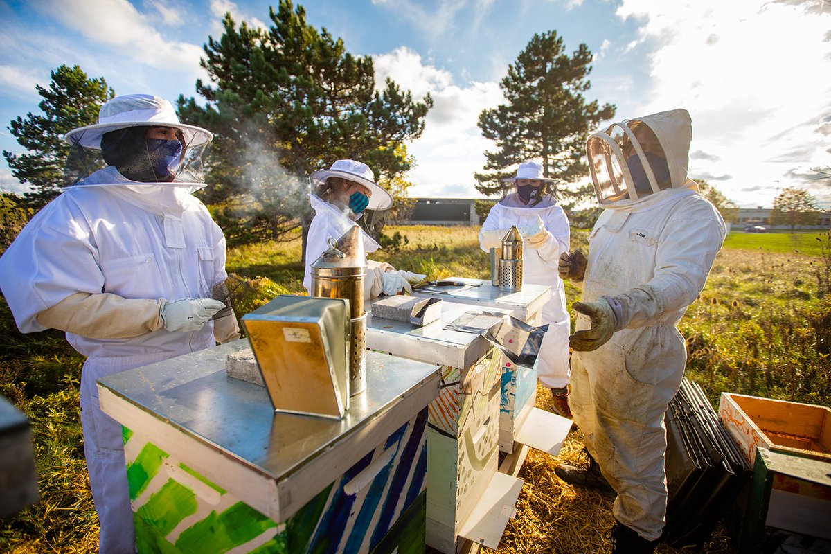 UBScience's tweet photo. Beekeepers led by @UBBiology's David Hoekstra were out prepping hives for winter on @UBuffalo's North Campus this week! 🐝🍯❄️ Learn about the @UbeesB program: https://t.co/wHqAnnOdS4 #bees https://t.co/Rs0CSsRE36