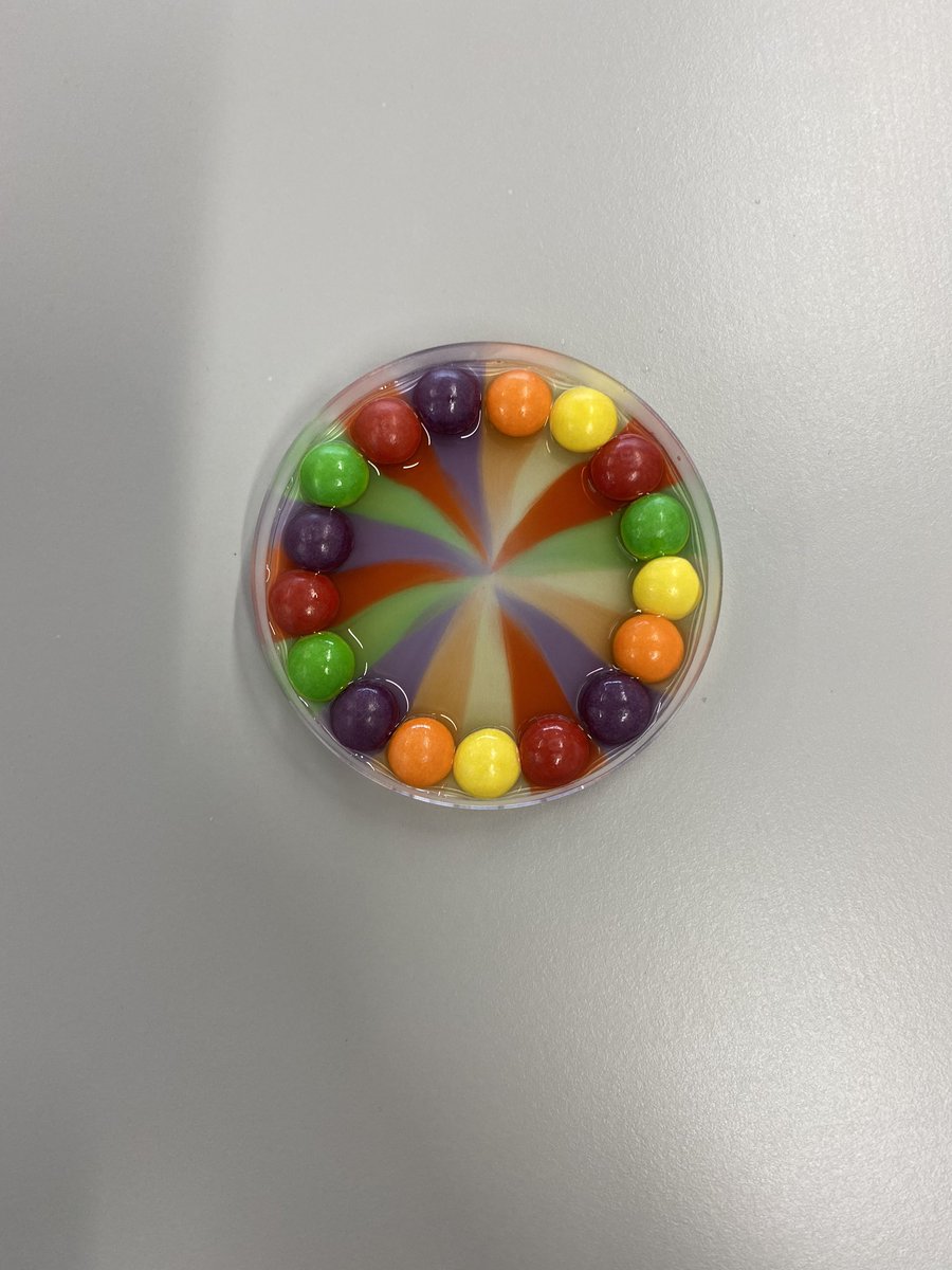 Miss MacRae 🔬🧬 tweet media