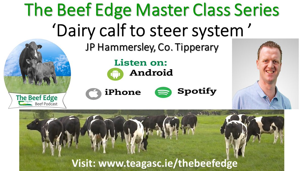 TeagascBeef's tweet photo. Green Acres Dairy Calf to Beef programme @teagasc  participant, JP Hammersley Co. Tipperary explains his dairy calf to steer system on this week's #TheBeefEdge. Tune in on, IPhone: https://t.co/TYRE7ctEgo 
Spotify: https://t.co/P2czKib7Af 
On-line: https://t.co/BnwdEXrtm5 https://t.co/Co7uz5RAIf