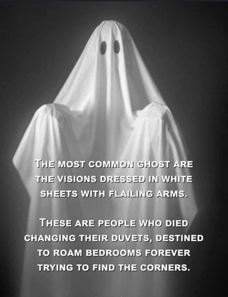 EmptyNestTimes's tweet photo. It’s Friday🎉🎉 &amp; almost #Halloween This made me chuckle!!! Hope to make someone else smile today too!!! #Halloween2020 #FridayVibes #FridayFun https://t.co/rzIKppOFQB