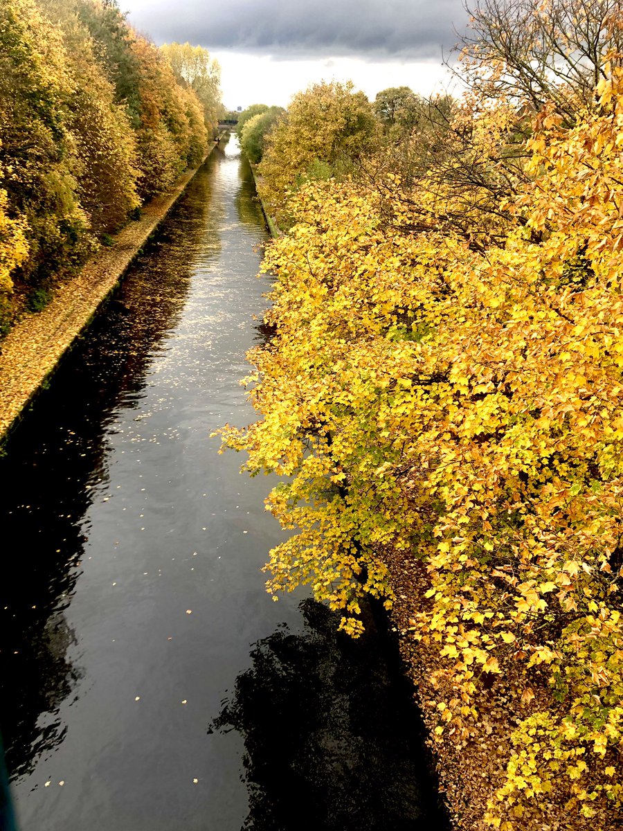 manlikebaldwin's tweet image. Autum 

Birmingham