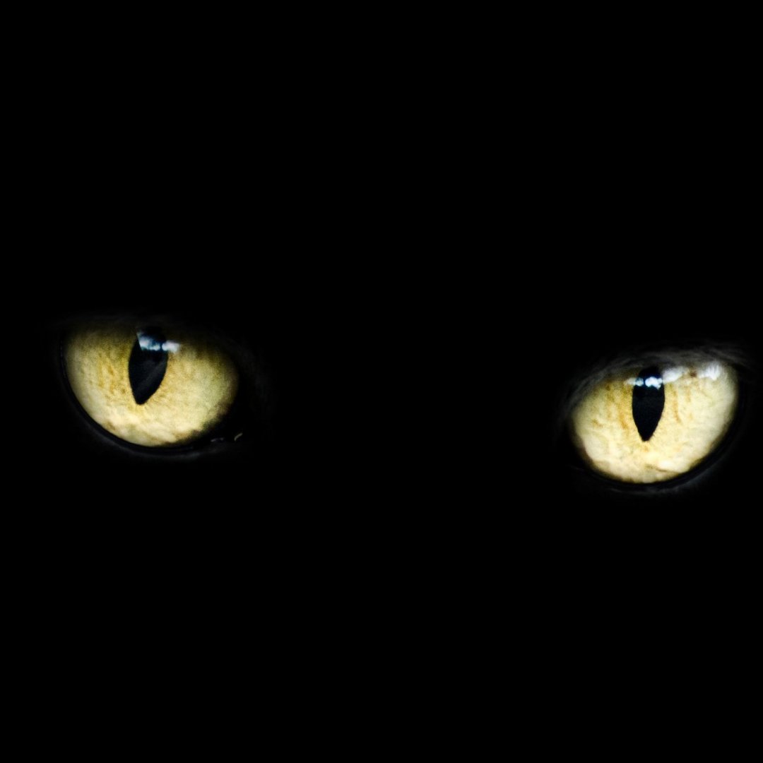 Halloween is gonna be spooky this year... Why? Because this Full Moon will be conjunct to Uranus, creating a plot-twisting shock! Tomorrow is going to be interesting.

What are you expecting for this Halloween? Trick, or treat?