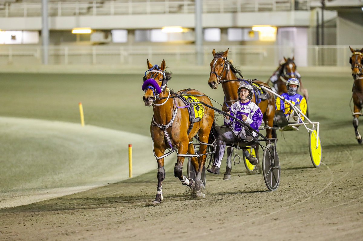 RacingWAHarness's tweet photo. Warriors Legacy wins the final race of the night from @GloucesterPark at big odds...

#WAHarness | 📸: @_HamiltonCC https://t.co/396IaA3Bel