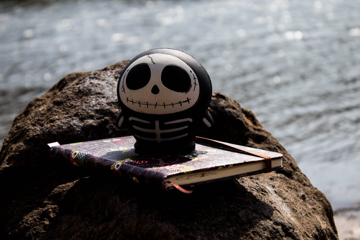 CherineOlivier's tweet photo. The little ghostwriter looking for inspiration.
#writersofinstagram #authorshoot #authorsofinstagram#author #ShadowLove #inspiration #sunnyday #writingcompanion #halloweenshoot #photography #halloween #authorfun https://t.co/o6xmdZhUF5