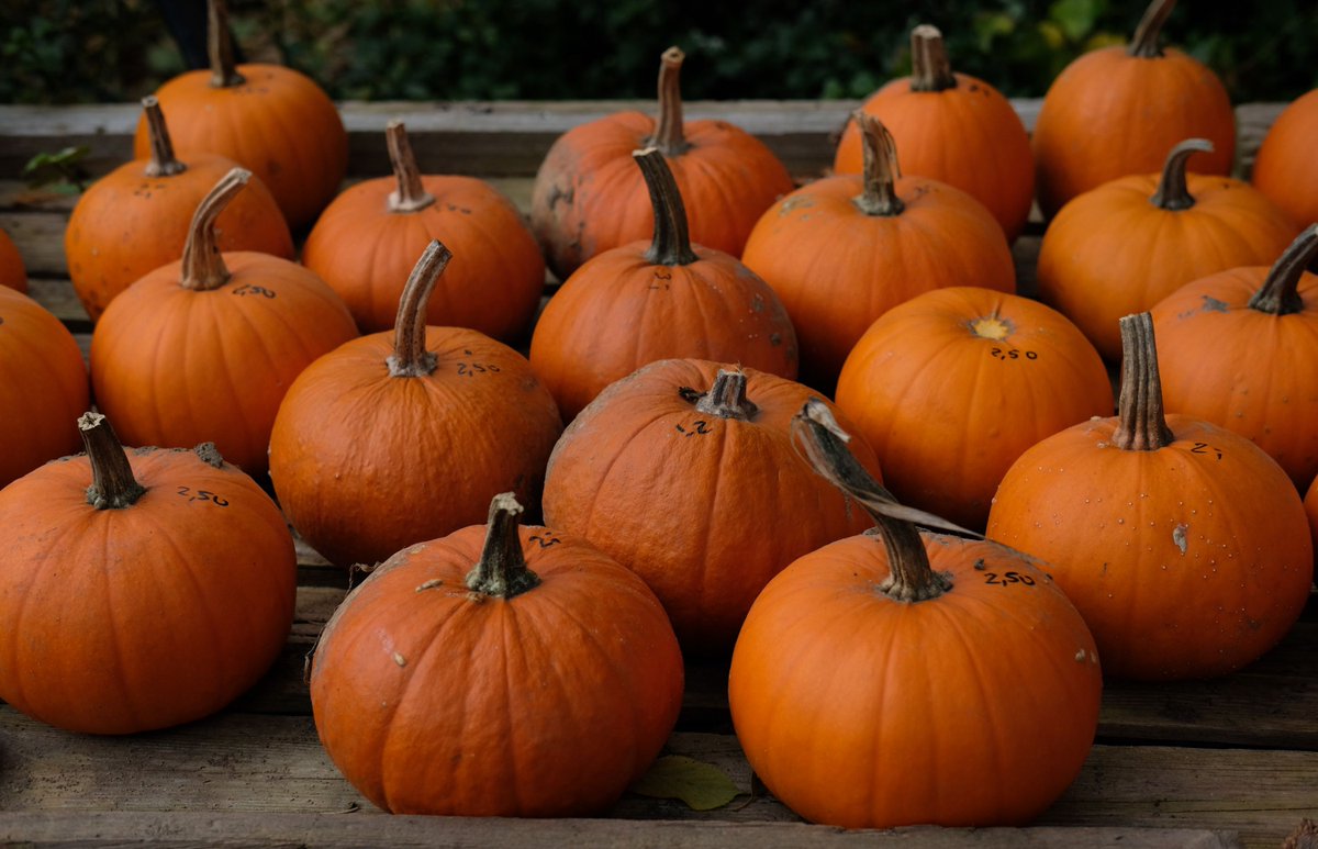 The Verge tweet media