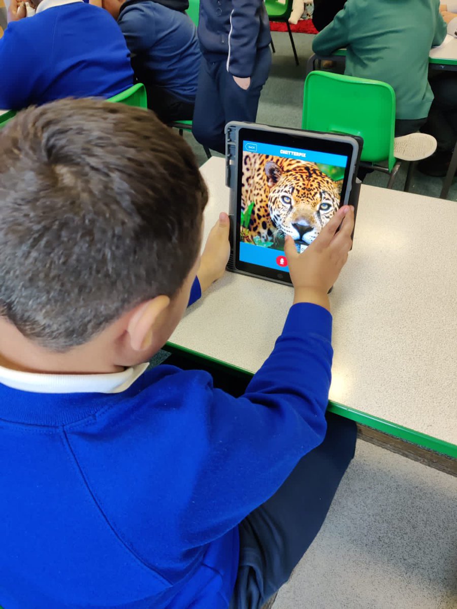 Rowlatts_TMET's tweet photo. Year 4 are using ChatterPix and their rainforest animal friends to explain the importance of the Amazon #RMGeography #RMComputing #Creativity #Collaboration https://t.co/P8U3MBJUPf