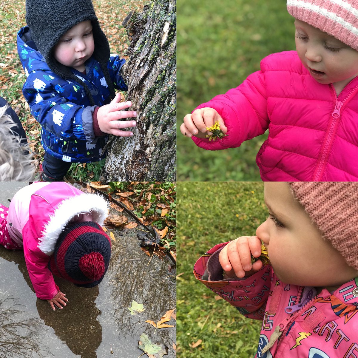 PathwayProject_'s tweet photo. Our #pathwayexplorers from @CompassELC_HomeChildCare (CELC), Peterborough are providing the perfect inspiration to get you into nature this weekend and explore freely π Big high-five to all of them! π https://t.co/39A7Cfl7p5