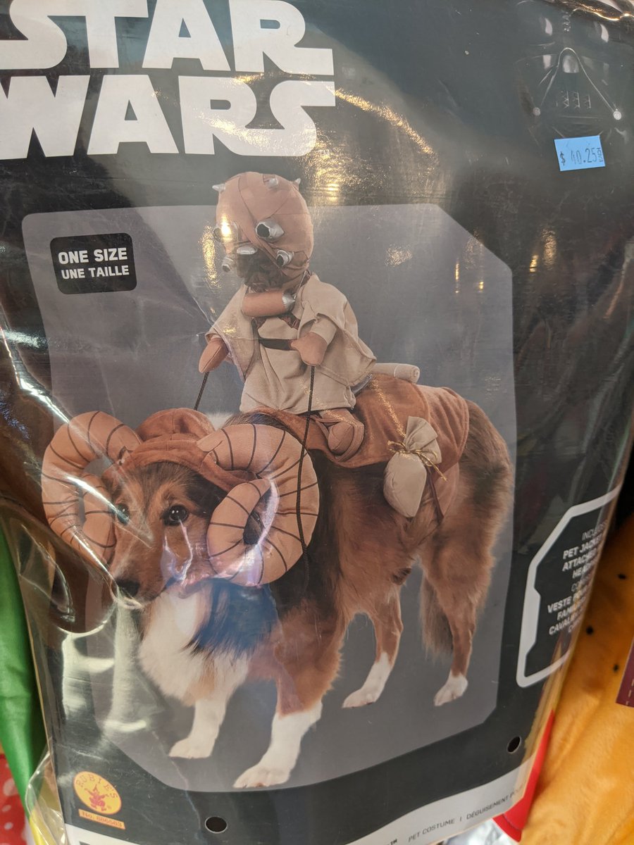 oliverscollar's tweet photo. Today and 10/31, all costumes and Halloween toys and garden flags 50% OFF! (No returns.) https://t.co/J1GtxKAhxw