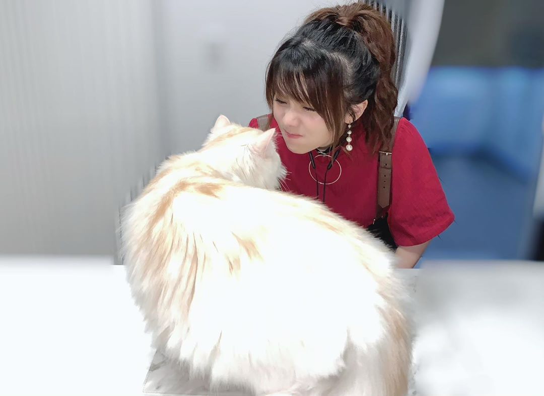 L07Insta's tweet photo. 田中れいな｜https://t.co/DhgBdvdwgO
.
シンバと…

https://t.co/9mhStdzjif https://t.co/RqFbv6LlkC