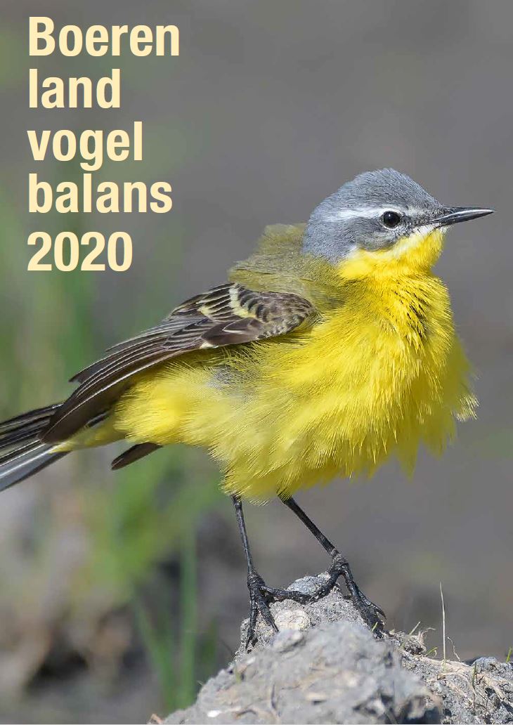 De Boerenlandvogelbalans 2020 is uit. 
Nieuw overzicht boerenlandvogels schetst treurig beeld. 

Een landelijk en provinciaal overzicht van 
<a href="/LandschappenNL/">LandschappenNL</a>, <a href="/BFVW/">BFVW</a> en <a href="/Sovon/">Sovon Vogelonderzoek Nederland</a>.

sovon.nl/nl/actueel/nie…

#monitoring #boerenland