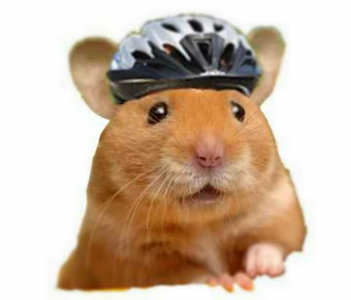 BICICLI tweet media