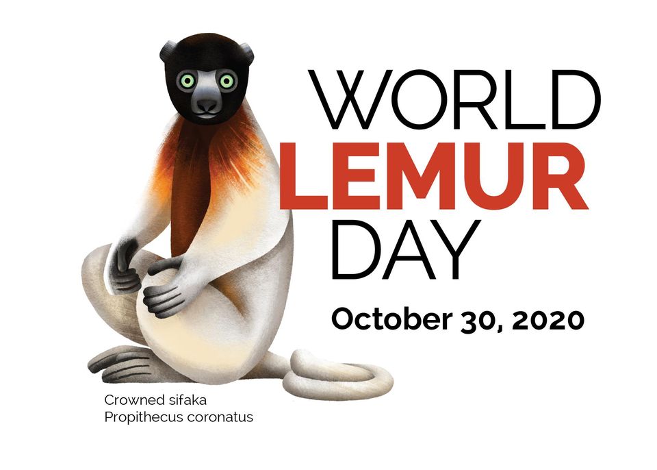 Lemur Association tweet media