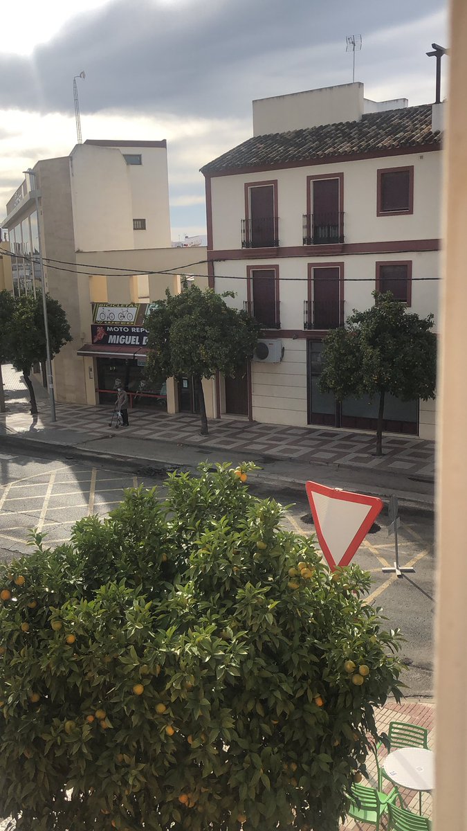 CarlosCorral8's tweet photo. Si por algo brilla el ayuntamiento es por su falta de inteligencia, un mes hace que lo han pintado. https://t.co/7boVL4gbHr