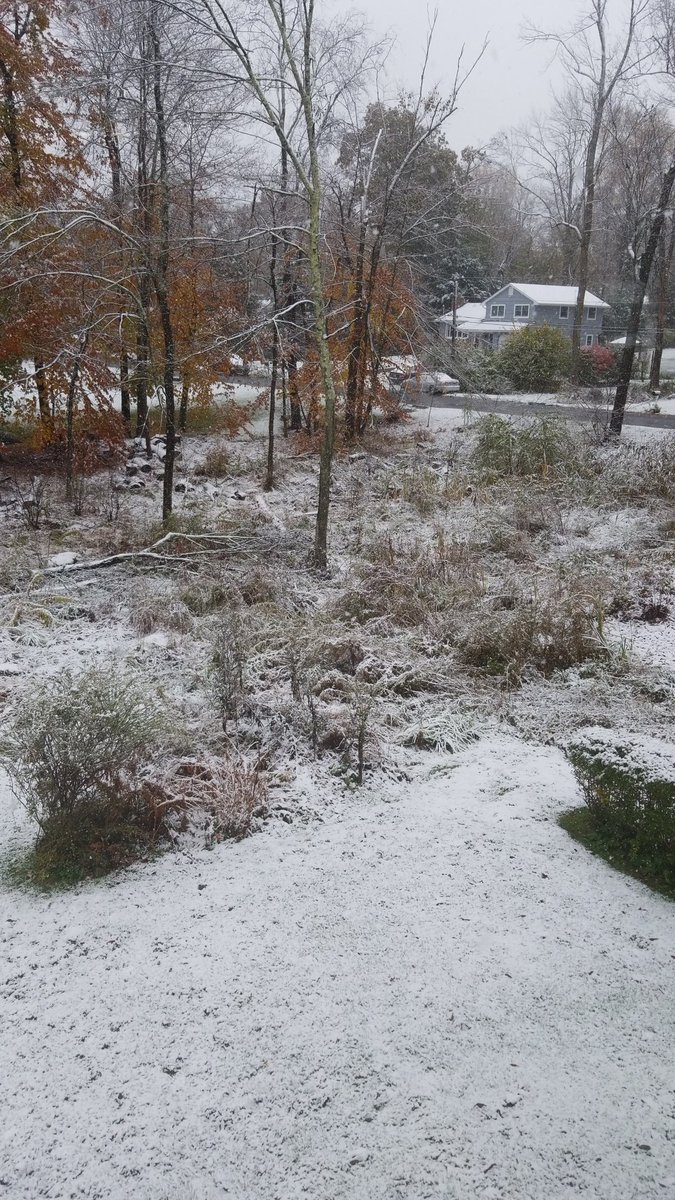 Cativelense's tweet image. Winter wonderland o caralho!

Vai-te embora, neve FDP!

🤬

#BringBackTheSummer
#FuckWinter