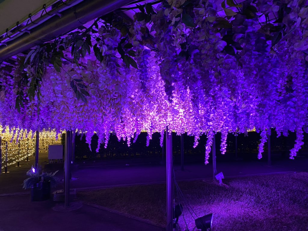 かすてら 大井競馬場の東京メガイルミ フェイクフラワーですが 一角に藤の花のイルミネーションがあり美しくライトアップされていて テーマは 江戸 の展示エリアでしたが 門の設えが麻の葉模様だったりしてキメツゴコロにぐいぐいくるものがありま かすてら 大井競馬場の東京メガイルミ フェイクフラワーですが 一角に藤の花のイルミネーションがあり美しくライトアップされていて テーマは 江戸 の展示エリアでしたが 門の設えが麻の葉模様だったりしてキメツゴコロにぐいぐいくるものがありま