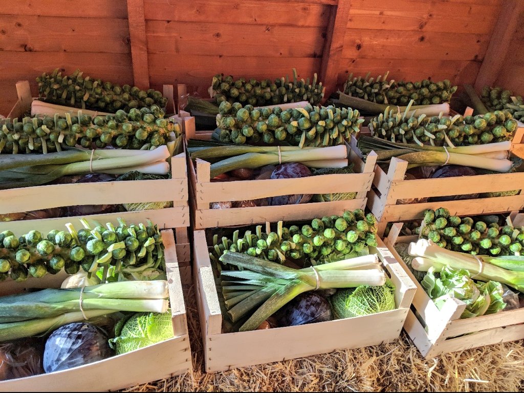 Need some inspiration when it comes to Christmas veg? We'll be doing our veg boxes again this year - get in touch if we can help 🥬🧅🥕🥔