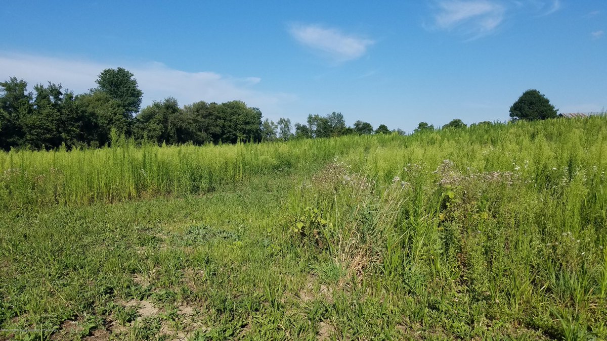 This fantastic piece of property on 7 acres of land SOLD in Charlotte Michigan just South of Lansing!

#autumnvibes #fallvibes #powerofnow  #propertynews #beautifullife #yardwork #walldecor #JoyTrain #togetherness #being #lifecycle #ABetterUrbanFuture #overwhelmed 
#michigan
