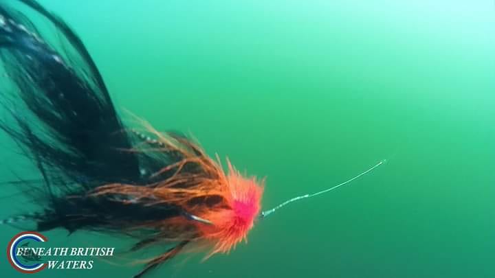 UnderwaterMedia's tweet photo. Halfway through our pike fly edit, the whole film is a collaboration between myself and @UTSurfaceMike who's angling knowledge definately outweighs mine. Hoping to complete by next week.
#pikefly #flyfishingadventure #getfishing #getoutside #flyfishing #pikeonthefly https://t.co/LU80Dg1b28