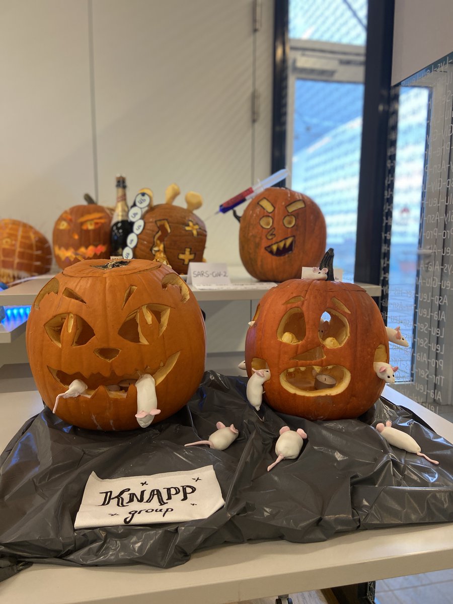 CeMM_News's tweet photo. We wish you a happy #Halloween ahead!🦇👻This year is a little different but we try to honor our @CeMM_News traditions in the best possible way. Take a look at our pumpkins🎃 fresh from the labs &amp; offices at CeMM, ready for the #PumpkinContest! https://t.co/aokmZPmdid