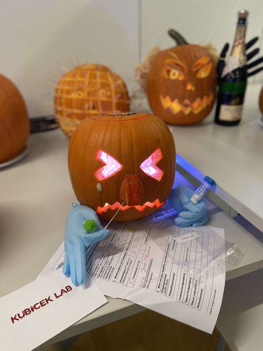 CeMM_News's tweet photo. We wish you a happy #Halloween ahead!🦇👻This year is a little different but we try to honor our @CeMM_News traditions in the best possible way. Take a look at our pumpkins🎃 fresh from the labs &amp; offices at CeMM, ready for the #PumpkinContest! https://t.co/aokmZPmdid