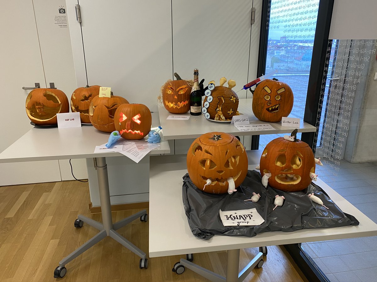 CeMM_News's tweet photo. We wish you a happy #Halloween ahead!🦇👻This year is a little different but we try to honor our @CeMM_News traditions in the best possible way. Take a look at our pumpkins🎃 fresh from the labs &amp; offices at CeMM, ready for the #PumpkinContest! https://t.co/aokmZPmdid