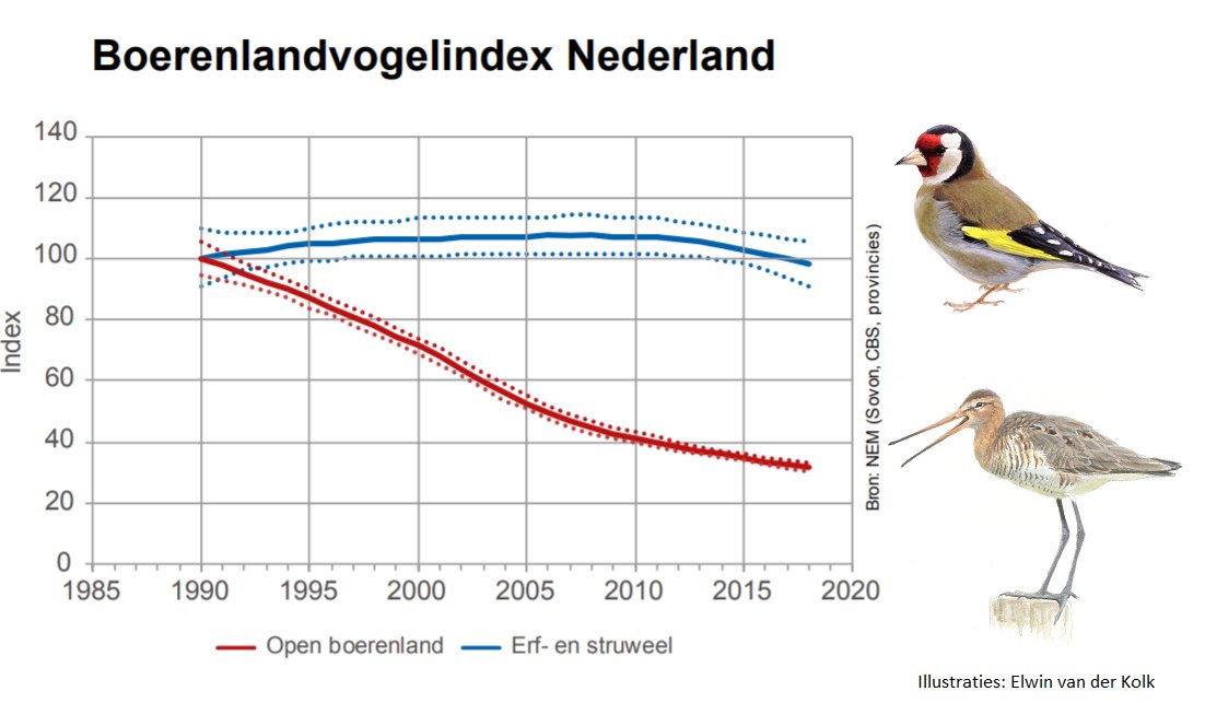 Boerenlandvogelbalans 2020: groep vogels van erven en struwelen per saldo stabiel, maar vogels van open grasland en akkers met 70% afgenomen.

New Dutch State of Farmland Birds: huge decline in open farmland birds, but group of hedges &amp; courtyards stable.
sovon.nl/nl/publicaties…
