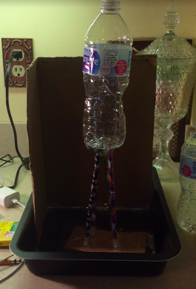 Miss Papa tweet media