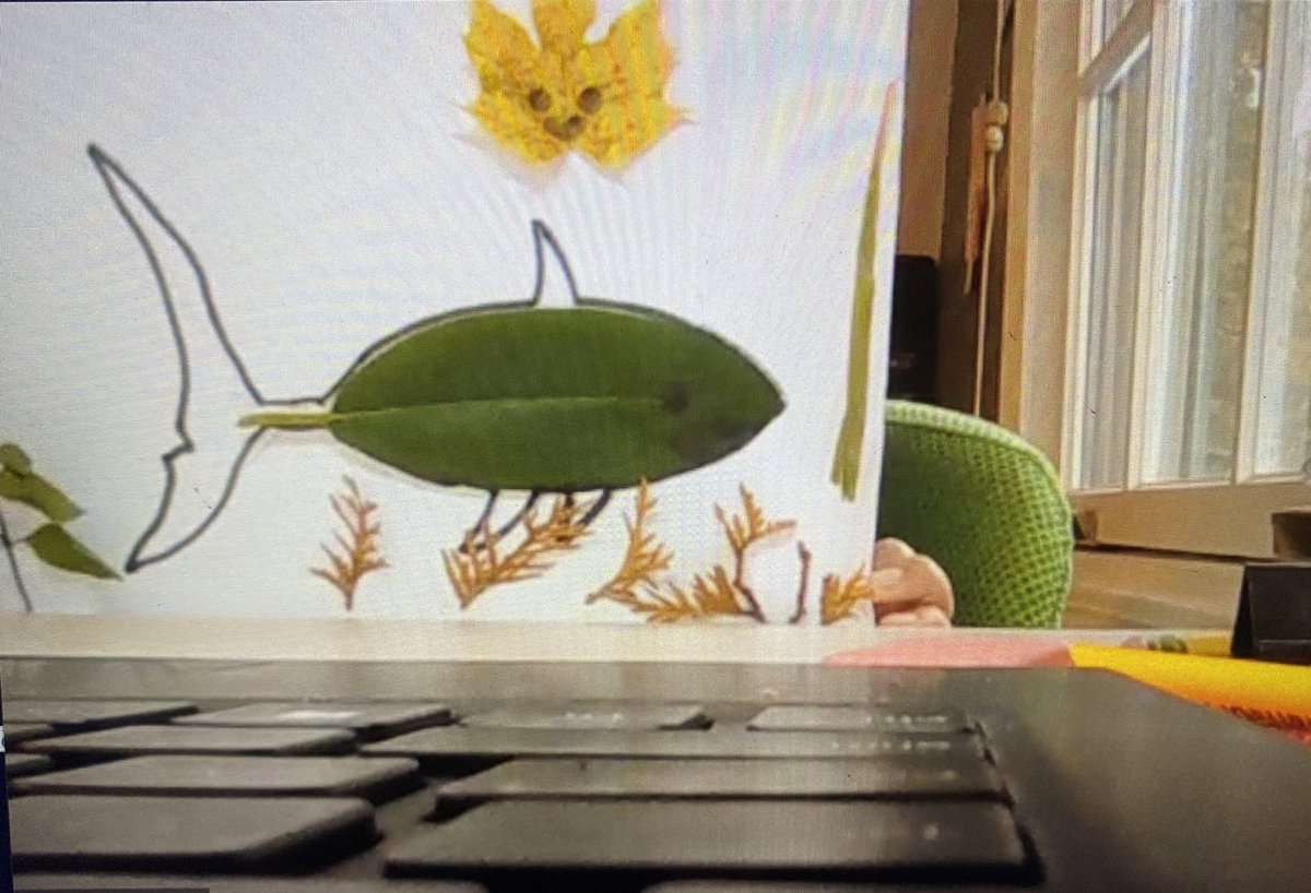MissSimpson27's tweet photo. Cohort B had some fall fun yesterday with leaves 🍂🍁 They are being SO creative even remotely💻 #remoteacademy #proudteacher https://t.co/dfhEDzrFQx