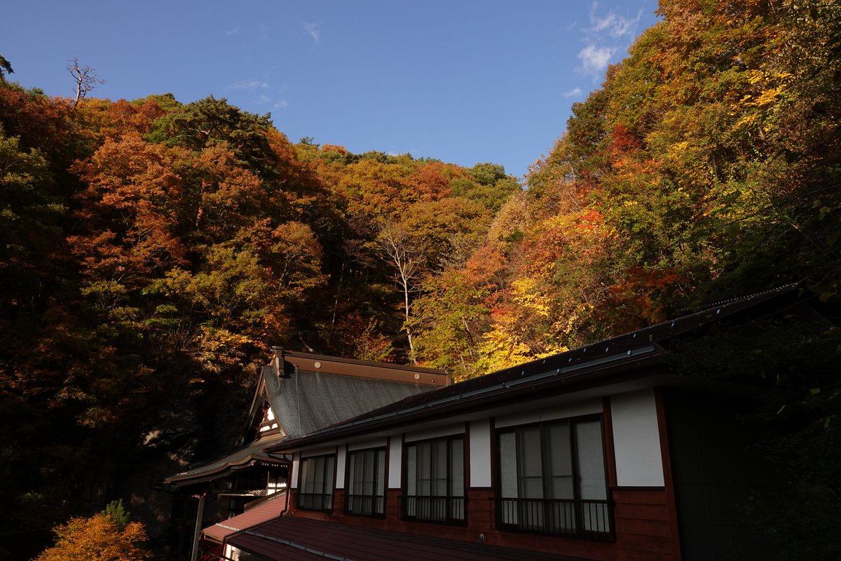 nob's tweet photo. 諏訪市上諏訪唐沢山の阿弥陀寺。
鐘楼付近の紅葉が見事。赤、黄、橙、緑と色とりどり。 https://t.co/VtFcw5Pj17
