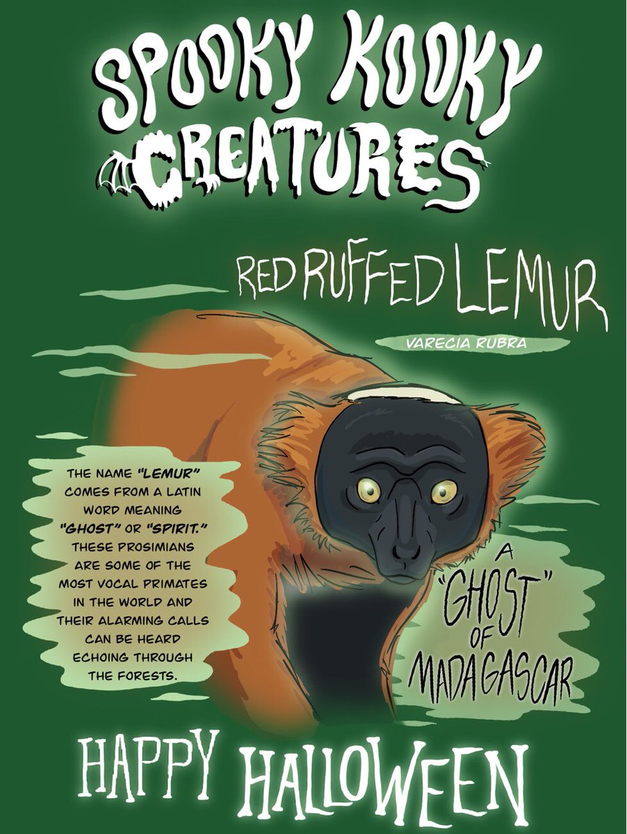 AmazingWildPod's tweet image. Celebrate #WorldLemurDay and a special Spooky Kooky Creatures series all week with @ArtByBreah :
artbybreah.com/2020/10/30/spo…