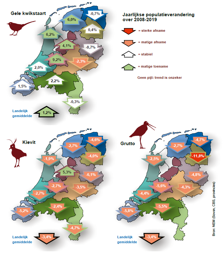 Sovon's tweet photo. Boerenlandvogelbalans met cijfers per provincie. Opvallende stijger is de Gele Kwikstaart, die redelijk gedijt in het agrarisch gebied. Kievit en Grutto echter overal forse afnames.

You win some (Yellow Wagtail), but you lose a lot (Lapwing and Godwit)

https://t.co/9glizqQQir https://t.co/F9dXpfa5em