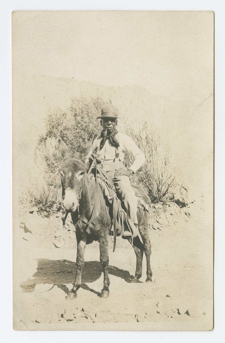 si_nmaahc's tweet photo. Photographic postcard of a man with a pipe, riding a mule, early 20th century https://t.co/cToT5TxX01 #openaccess #museumarchive https://t.co/19BjRezeQK