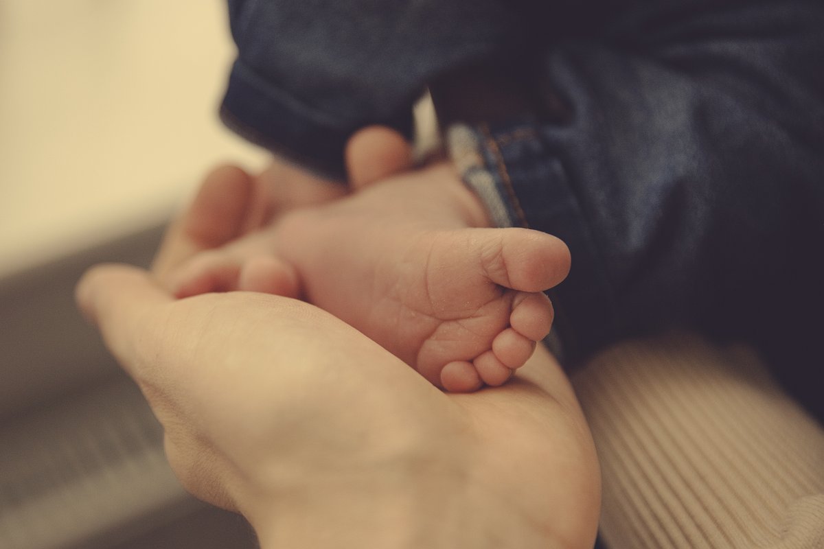 Joshua Earle tweet media