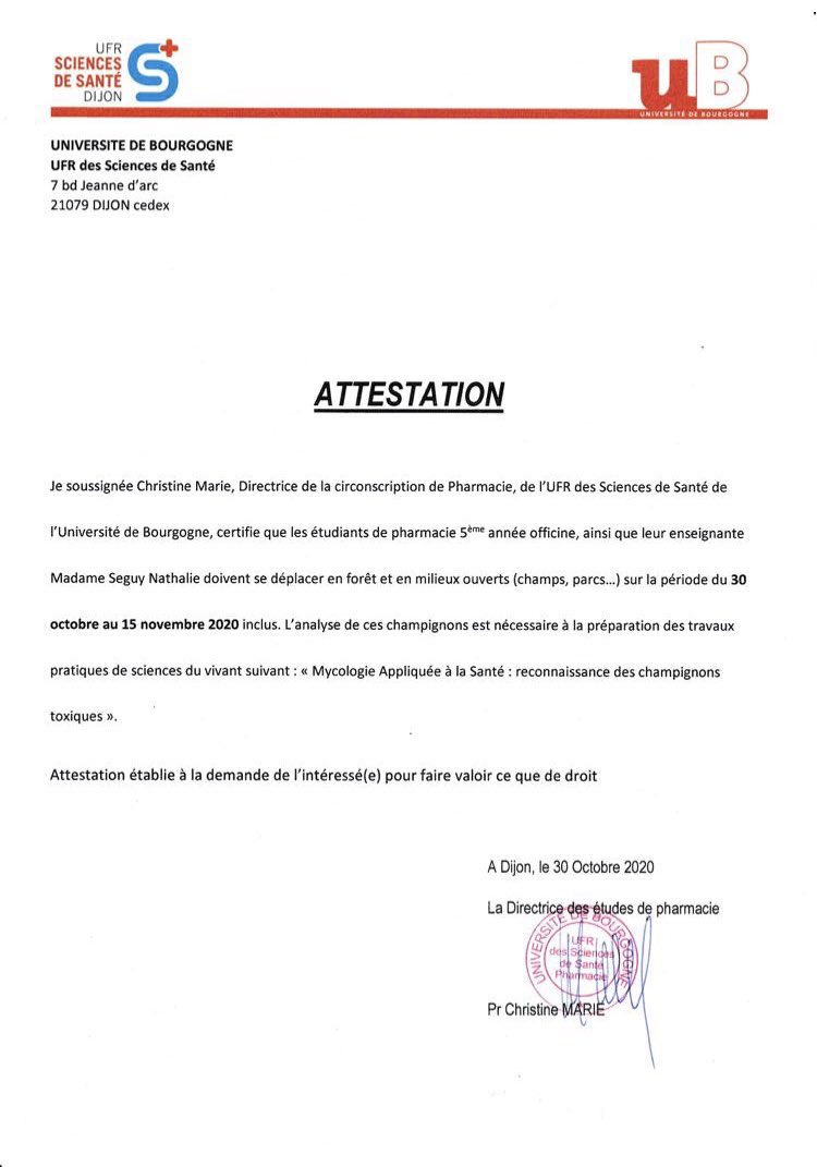 jules_ader's tweet photo. La France est confinée, à feu et à sang MAIS en Pharmacie ils ne perdent pas le sens des priorités : la cueillette de champignons https://t.co/RRDMyKNrjr