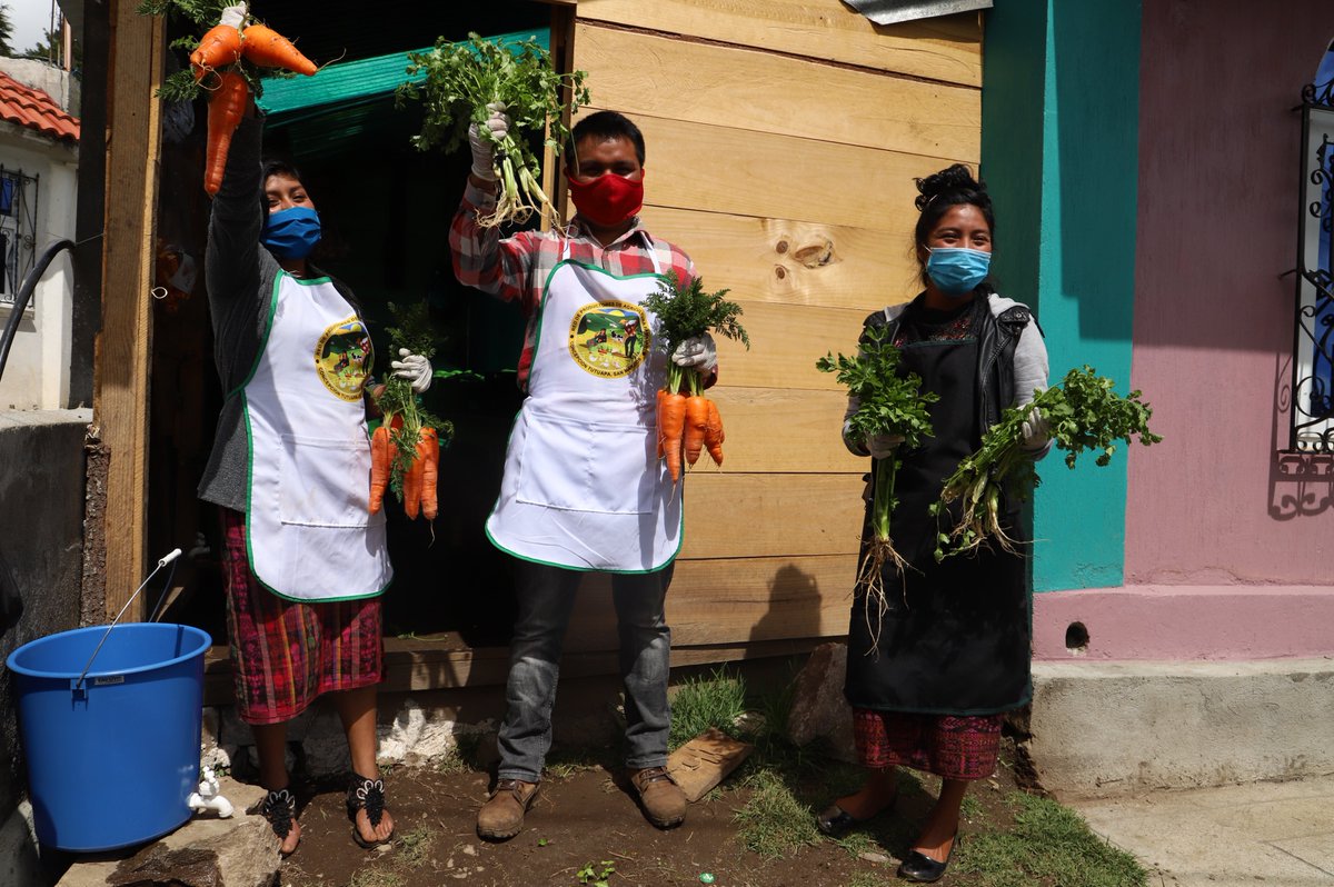 FAOGuatemala's tweet photo. Más de 166 mil niños y niñas en San Marcos han recibido alimentos producto de la agricultura familiar🍎 gracias a la vinculación de los pequeños productores al Programa de Alimentación Escolar.

Gracias a @SwedeninGT🇸🇪  podemos continuar apoyando a la #AgriculturaFamiliar. https://t.co/BwdUpEtSdY