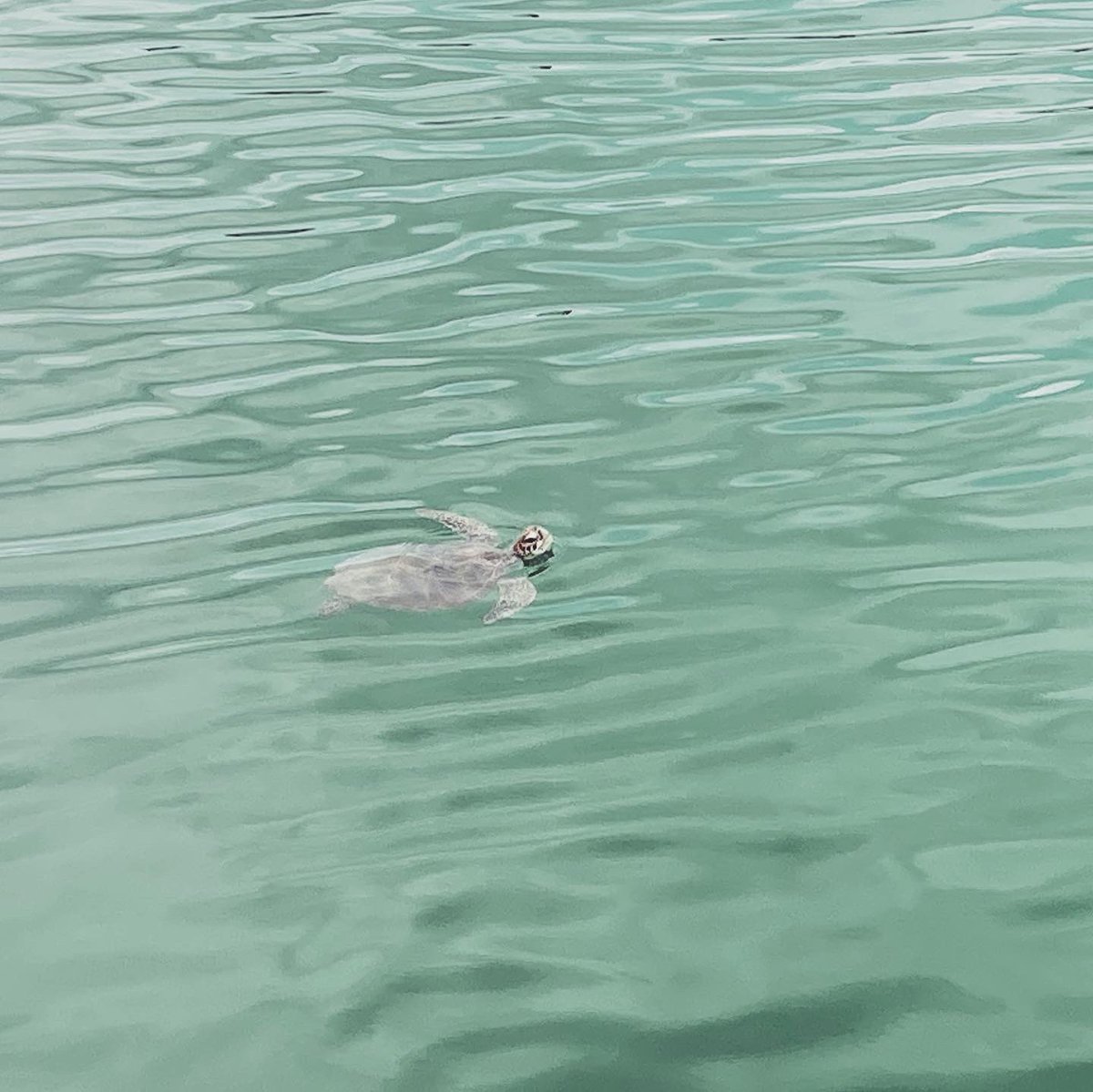 ひっちゃん ハイサイ探偵団 キャンピングカーで二泊三日の釣り生活でした キャンピングカーの快適差に感動した 色んな事ありすぎてあっという間でした ありがとうございました