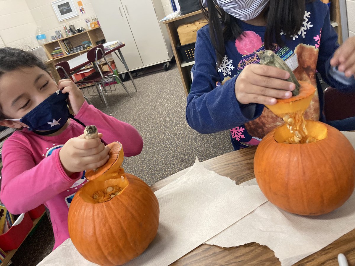KaraPulley's tweet photo. Thanks to @griggs_emily and the rest of the Kindergarten Team, I was able to give a couple of my EL students an opportunity to learn about and explore a pumpkin! They ❤️’d it, even the slimy seeds inside!#learningbyexploring @Northelem2 https://t.co/fa9n9BJfVx